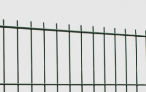 Double wire panel 6/5/6