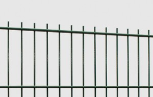 Double wire panel 8/6/8, mesh 50 x 200 mm
